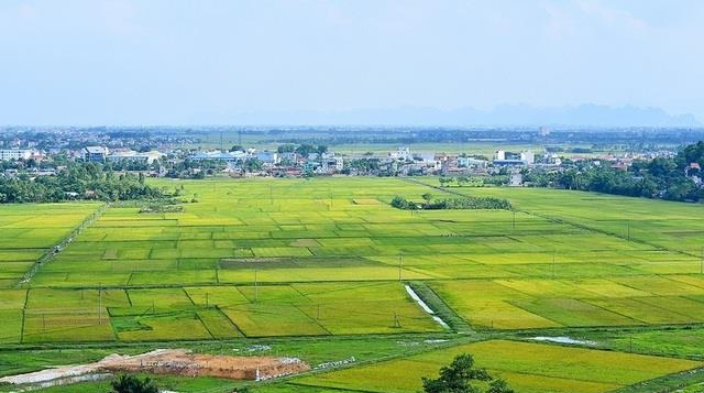10012023 Anh 1